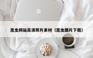 衡东昆虫网站高清照片素材（昆虫图片下载）